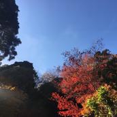 タケニート