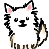 puko_design