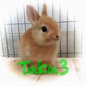 Taku3サラリーマンFP投資家