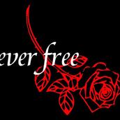 ever free