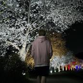 シゲスタイル
