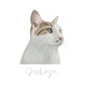 nekozu art