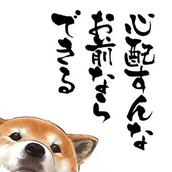 岡本　義明