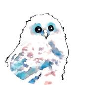 ふくろうCreate