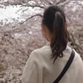 ひなちょぽん