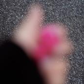 わかさPHOTO
