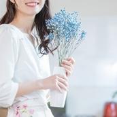 オアシス♪