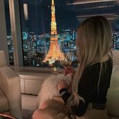 みのり自動集客→10日707000円