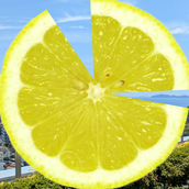 レモンLemon