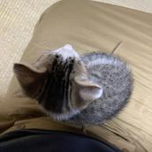 ムロタ．