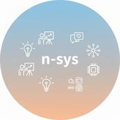 n_sys