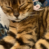 ありがとうショップ