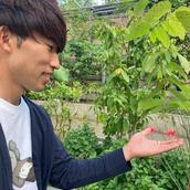 たかぴお