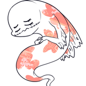 八陀（やだ）