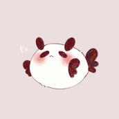 そらたろ　