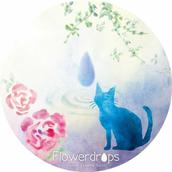 フラワーエッセンスFlowerdrops