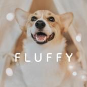 ぬいぐるみ屋さん FLUFFY