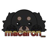 macaron__