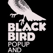 BLACK BIRDDesign
