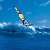 surftech55
