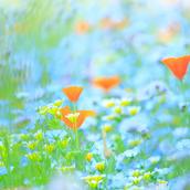 ⭐️ちひろ⭐️
