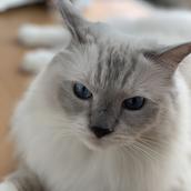 ゆう データ管理人