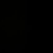 新規受付停止中です