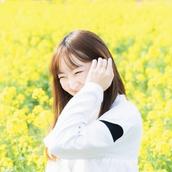 ななみ  中小企業・個人事業向けデザイン