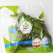 渥美 寿彦