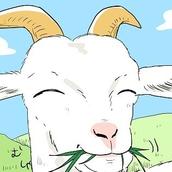 きくち栞