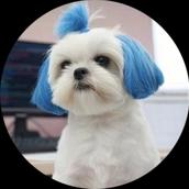 すぎもと｜your team