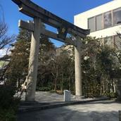 サイキックあまね