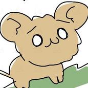 GOMAPI　ごまぴ