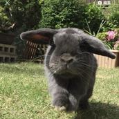 もんたろう★就活相談