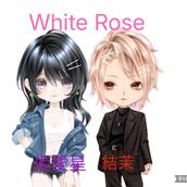 White Rose 姫愛星_結茉