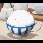 もふもふ先生