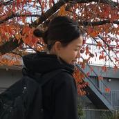 彩｜Webコーディングパートナー