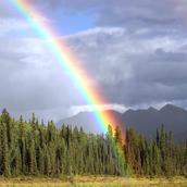 経理サポート相談室