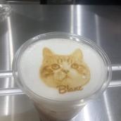 ねこぬこさん
