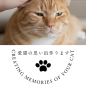 ねこメモリアル