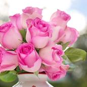 Rose　〜GraceBless主宰〜