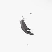 rin__design