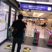 hayashiA