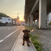ゆえむパパ