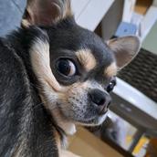 ひろ個人事業主