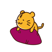 たま先生（徹底サポート）