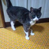 水戸　なみえ
