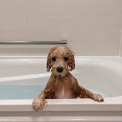 くるくるおじさん