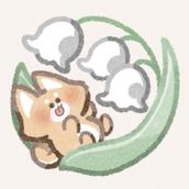 さつまいぬ書房