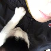 しょーへーちゃん